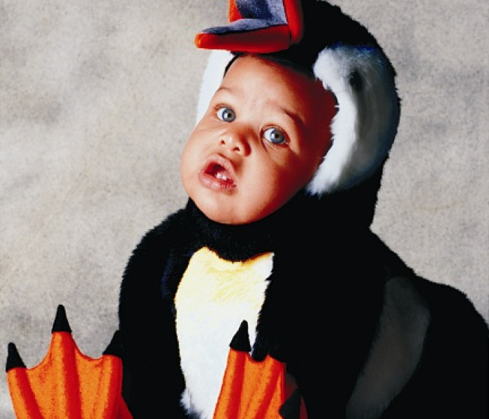 Puzzle - Spiel Spass - Pinguino